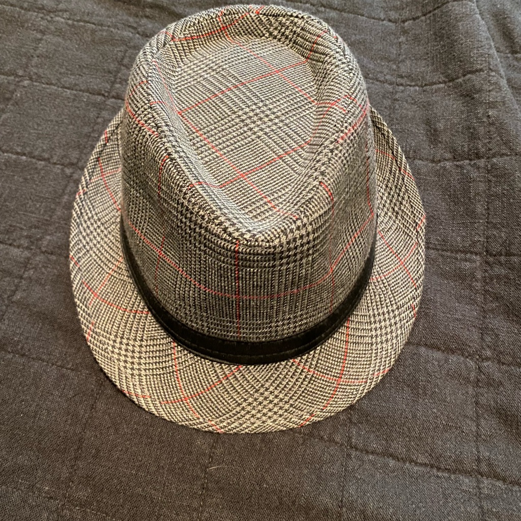 Gray Fedora